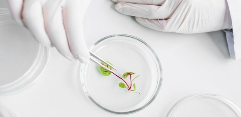 newfood enzyme complex