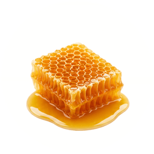 propolis