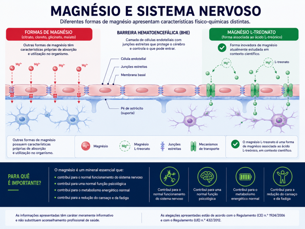 Tabela comparativa entre magnésio bisglicinato, citrato e L-treonato com biodisponibilidade e benefícios